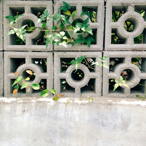 菁華林苑的水泥花磚